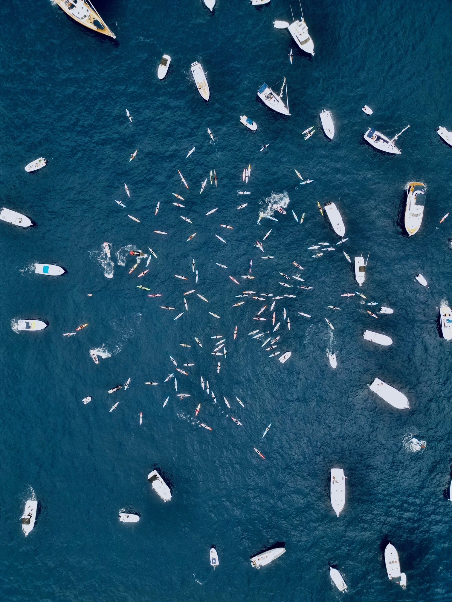 Aerial view of many small boats scattered across dark blue water, with a dense school of fish in the center