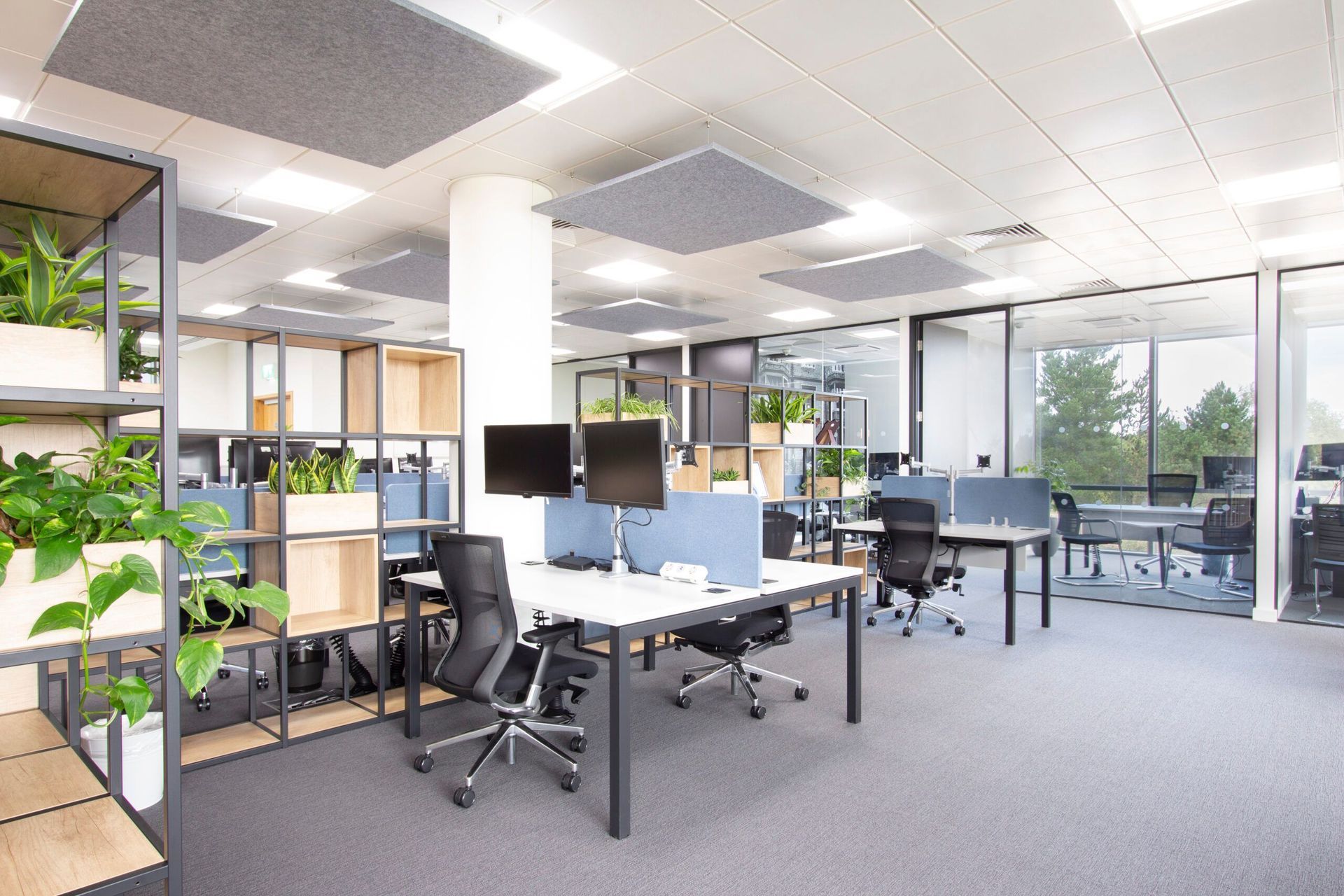 Modern open-plan office with desks, computers, chairs, plants, and large windows