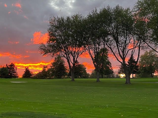 Sunset over a green park with silhouetted trees and vivid orange-red clouds
