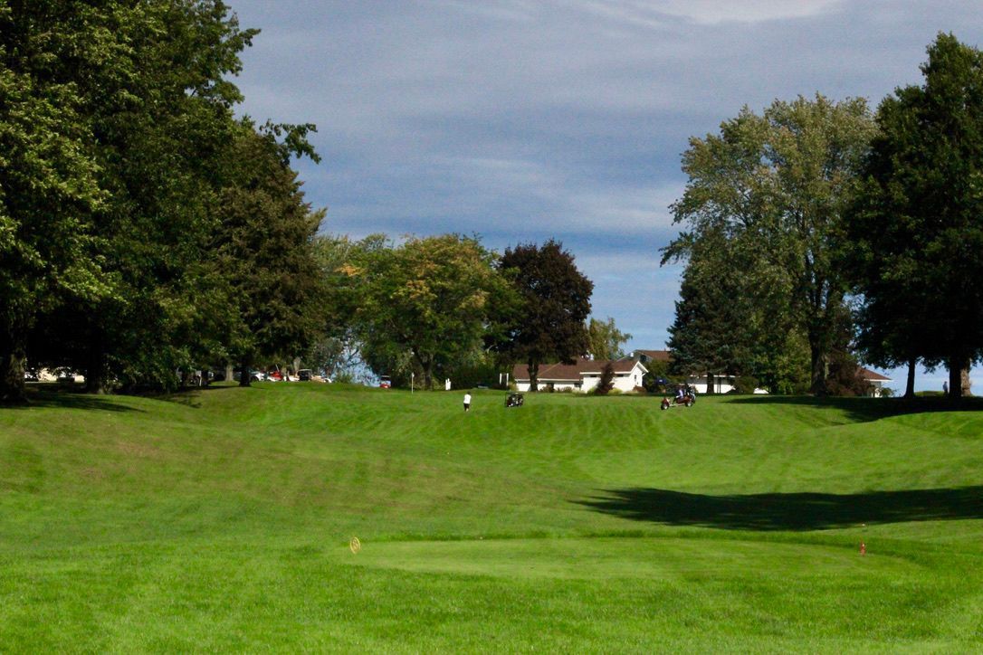 Grassy park with trees framing a small white house in the distance under a blue sky