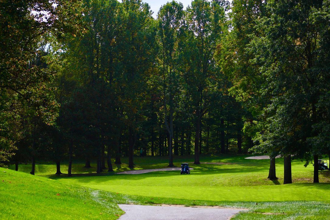 Sunny park with green grass, tall trees, and a winding paved path
