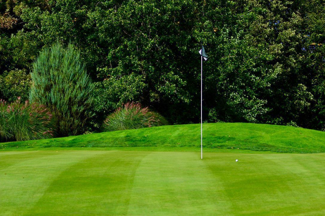 Golf green with a flagstick and cup, surrounded by trees and shrubs.