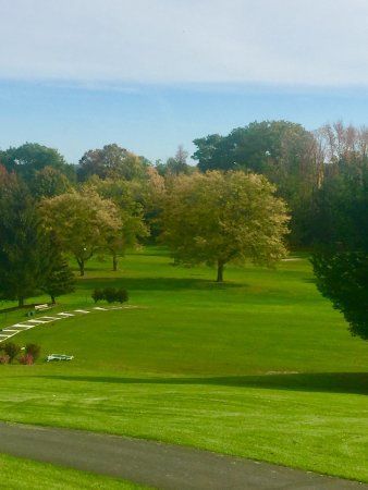 Grassy park landscape with scattered trees under a clear blue sky