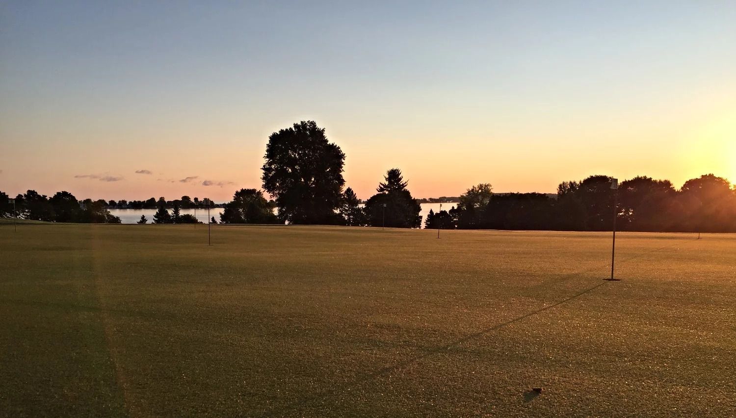 Sunset over a wide grassy field with silhouetted trees and a warm orange sky