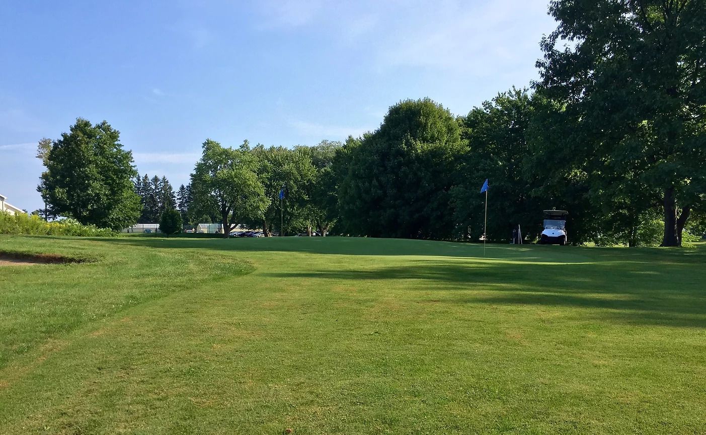 Green park with a wide grassy field, trees along the edge, and a bench in the distance under a clear sky
