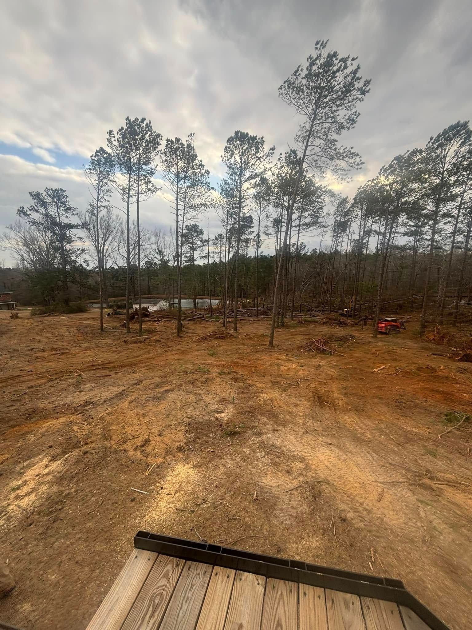 Clearing of land with tall pine trees and cloudy sky. Ground is brown dirt and remnants of wood.