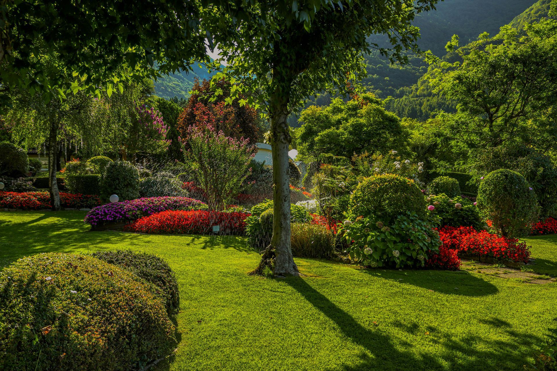 Curved garden bed with green and purple plants beside a stone pathway in a landscaped yard