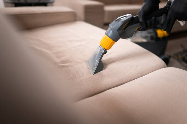 Vacuuming a sofa in the living room