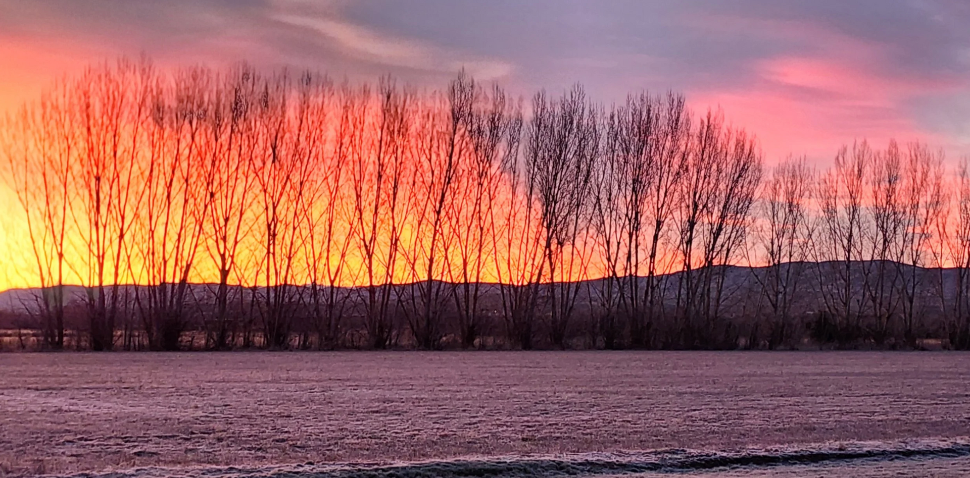 Pink-orange sunset over a snowy field with dark bare trees and hills in silhouette