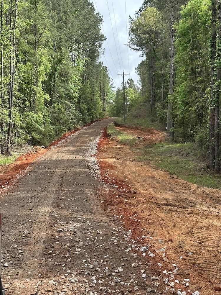 A dirt road going through a forest with trees on both sides.
