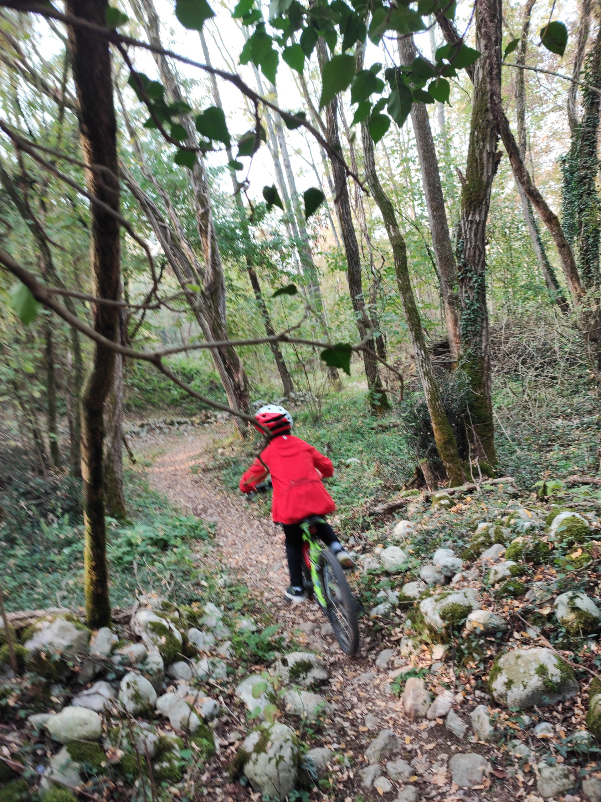 Bike rental in Riva del Garda Le bici di Eric e Paul