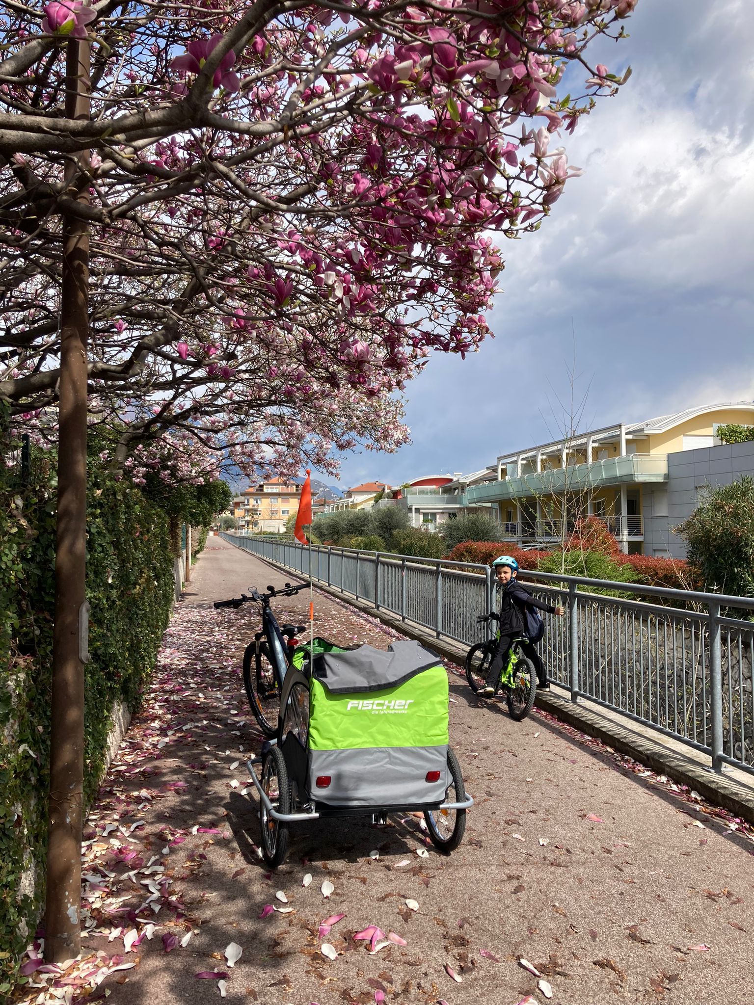 Bike rental in Riva del Garda Le bici di Eric e Paul