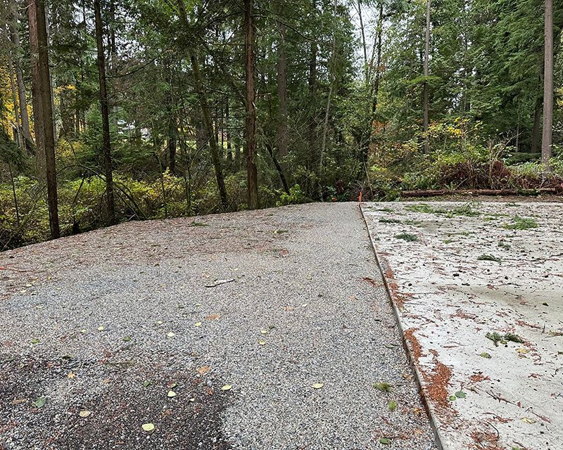 A gravel road in the middle of a forest with trees in the background.