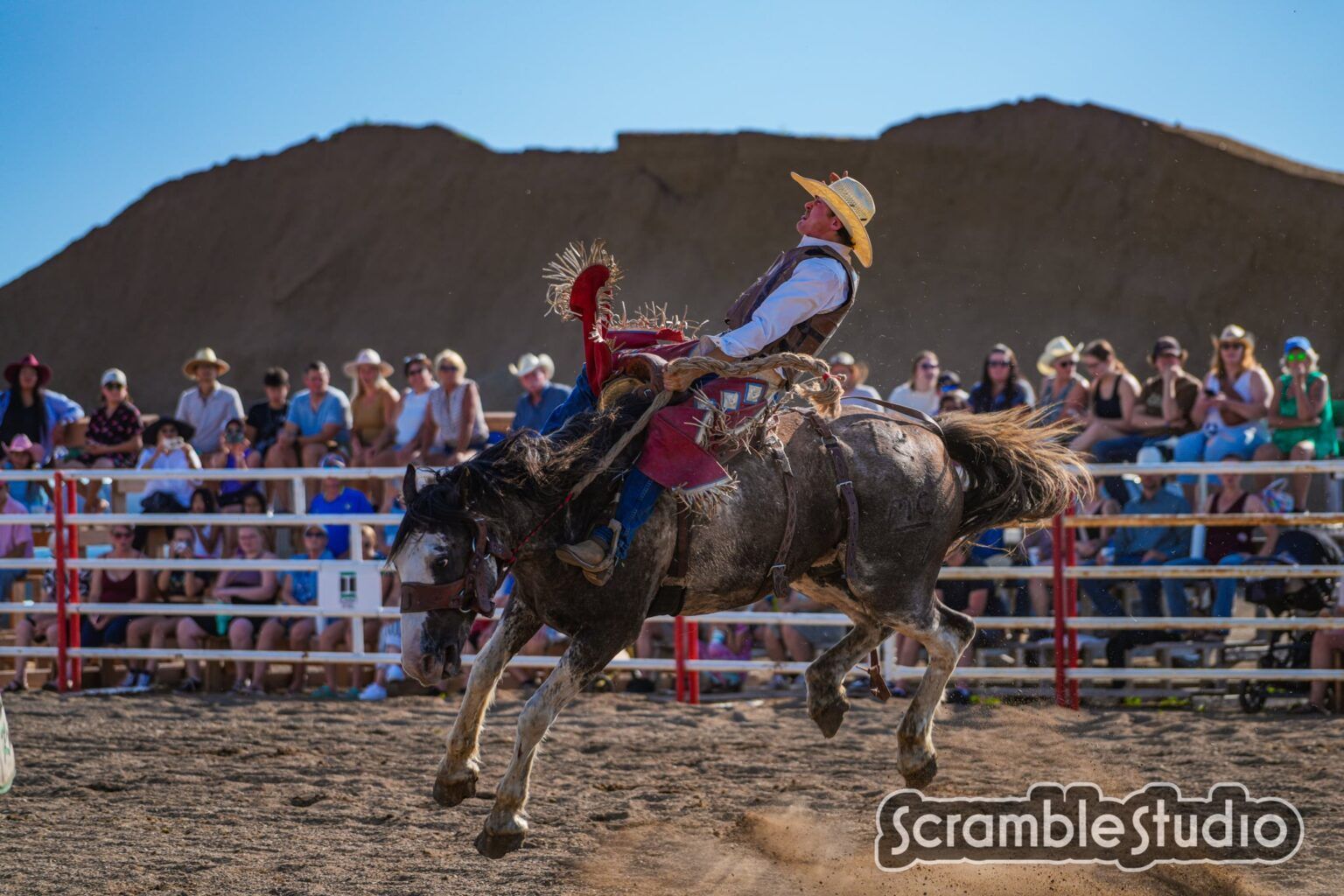 Cowboy holds on for dear life atop bucking horse at Brandon, Manitoba rodeo.