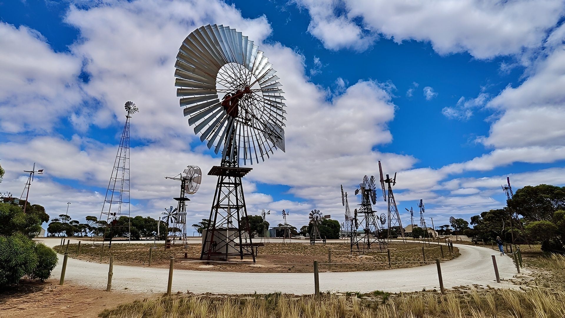 Ceduna Local Area