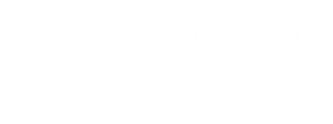 white print wedding & party websites logo