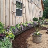 Flower bed with purple blooms along a barn wall and a potted plant on gravel path