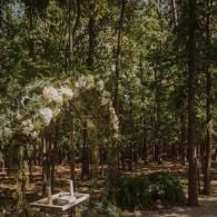 Outdoor wedding altar with white flowers among tall trees in a wooded grove