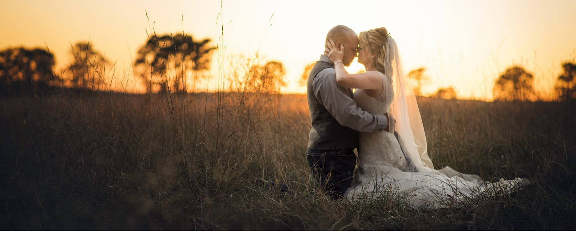 Couple embracing in a sunlit field at sunset, with trees silhouetted in the background.