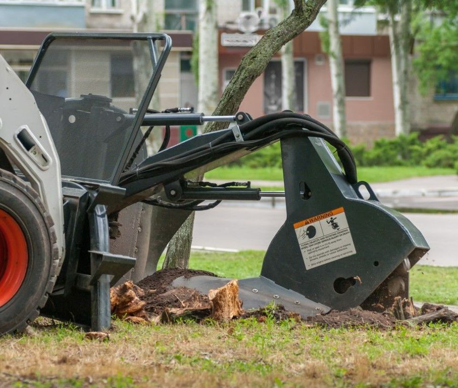 tree stump grinder
