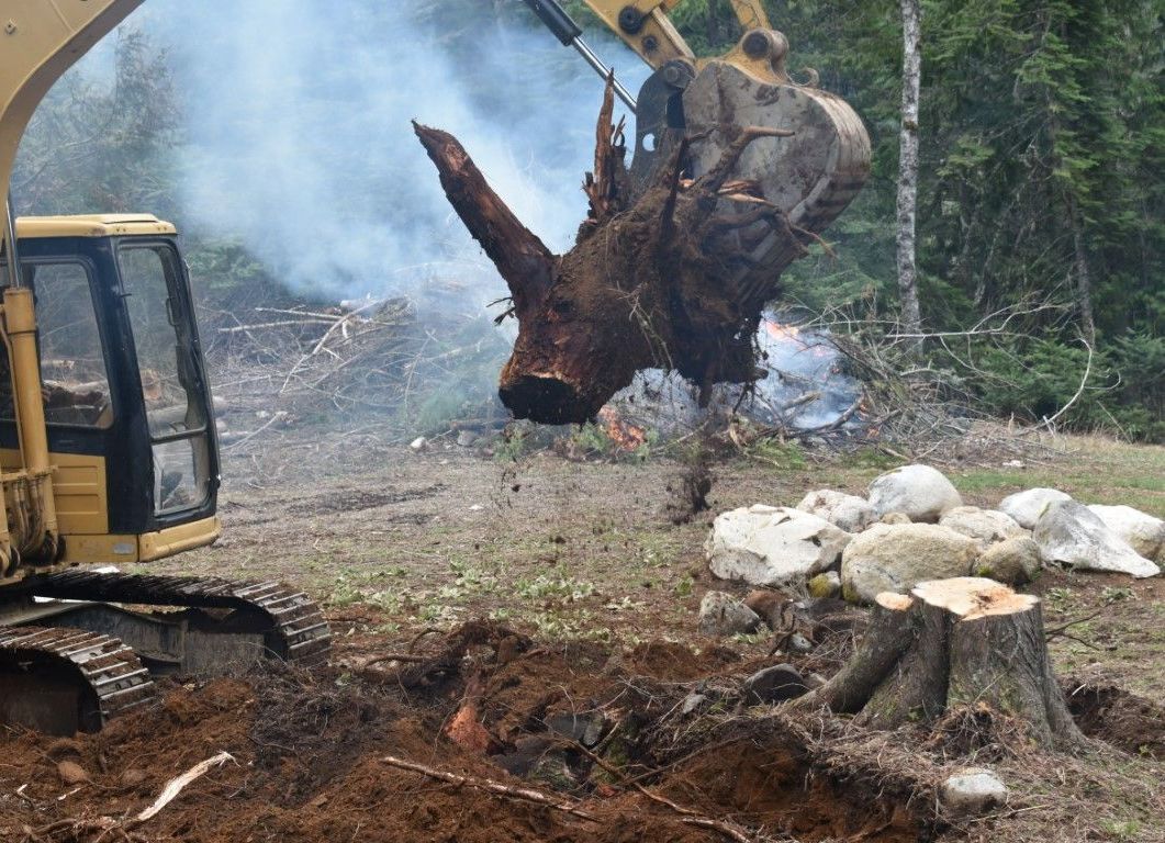 tree stump removal