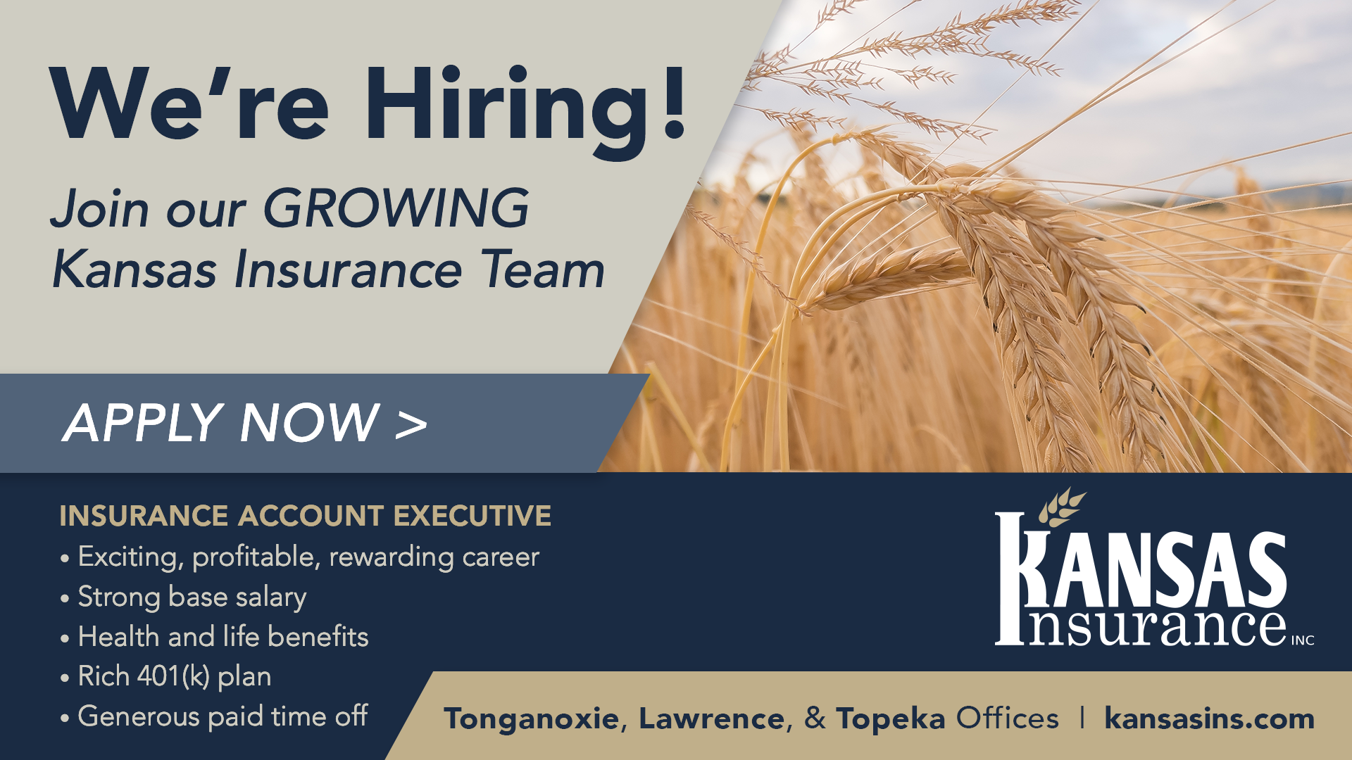 Professional Advertisement for an insurance agency.