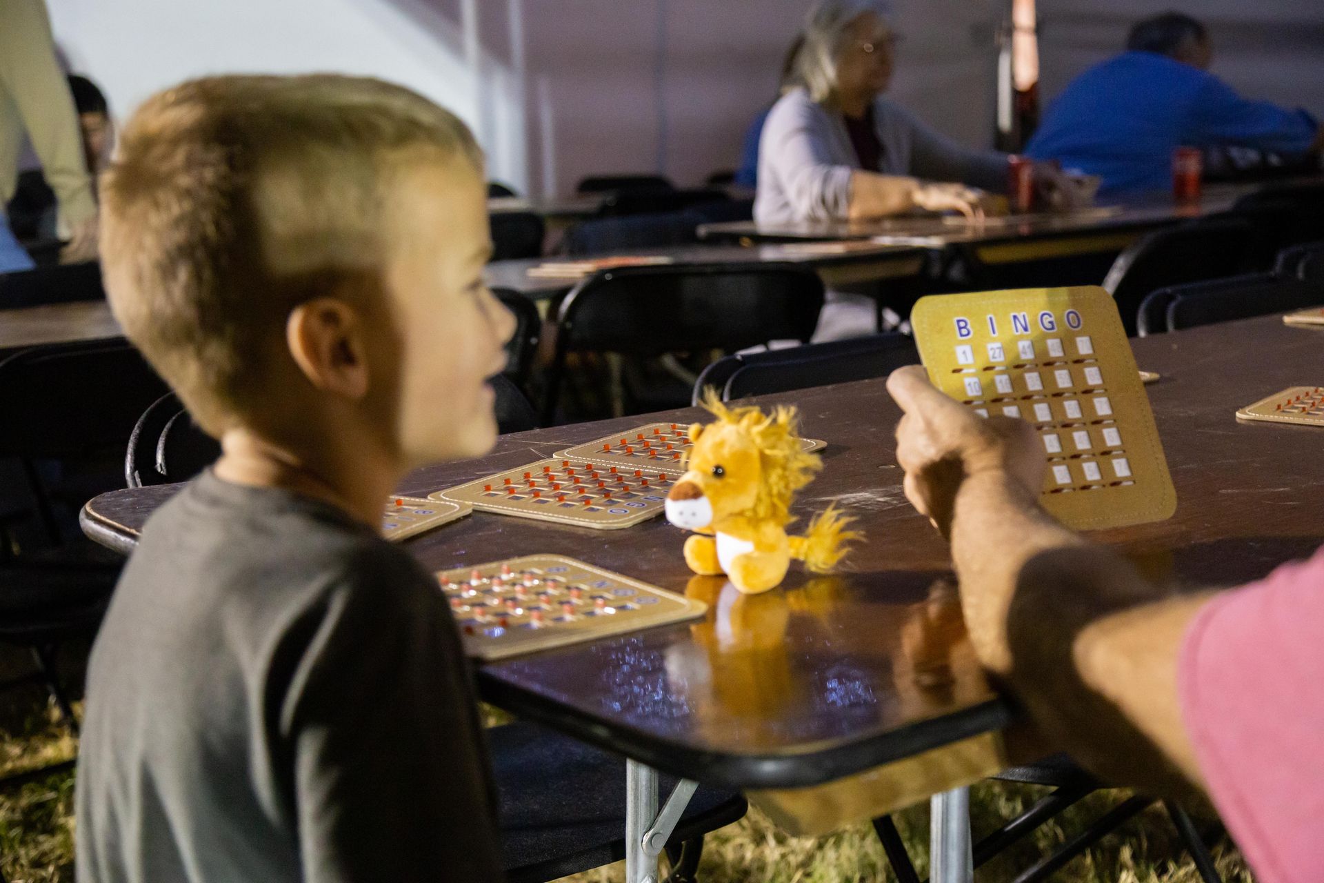 Professional photograph of  a small boy playing bingo.