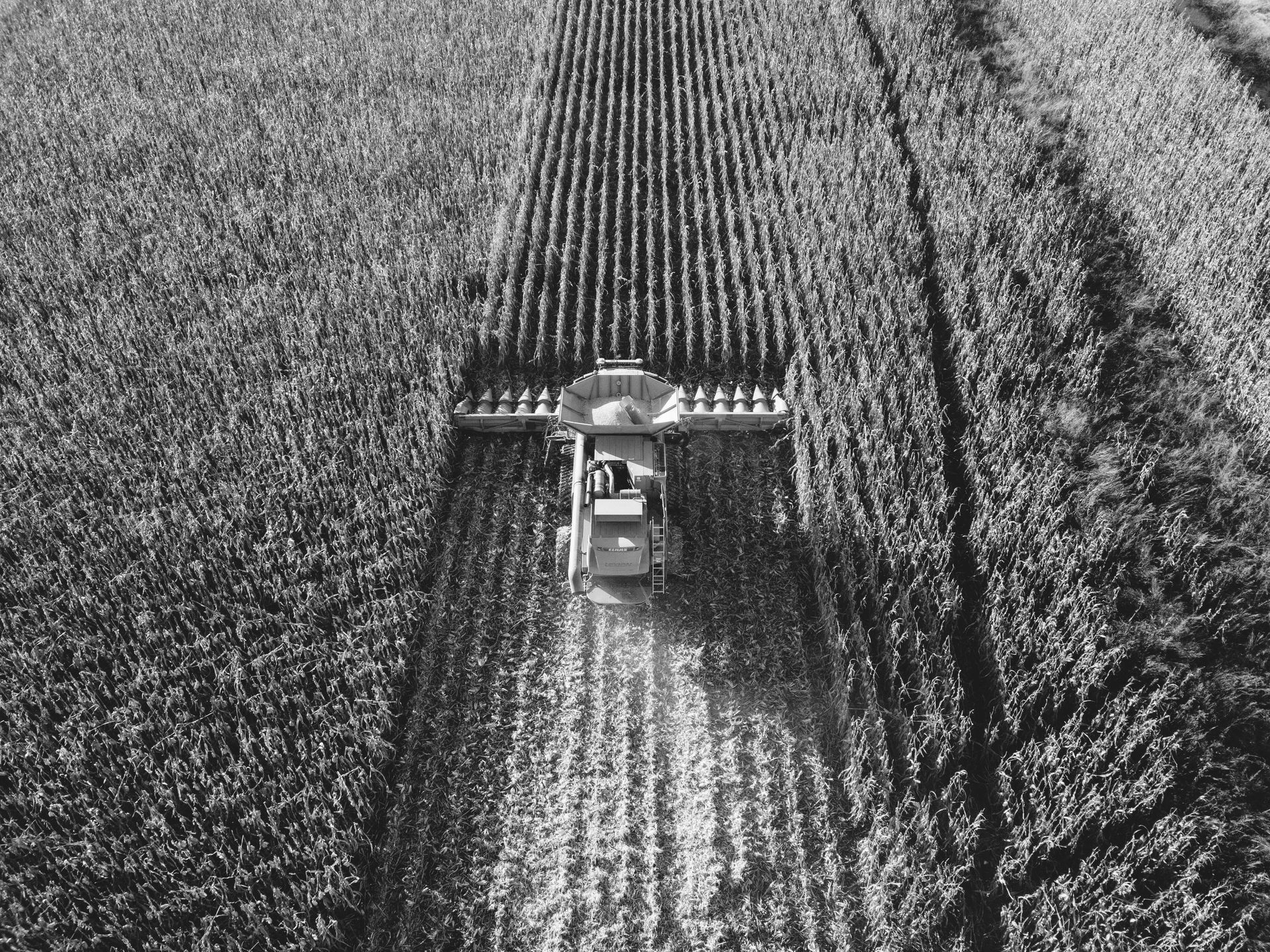 Professional photograph of a drone shot of a field.