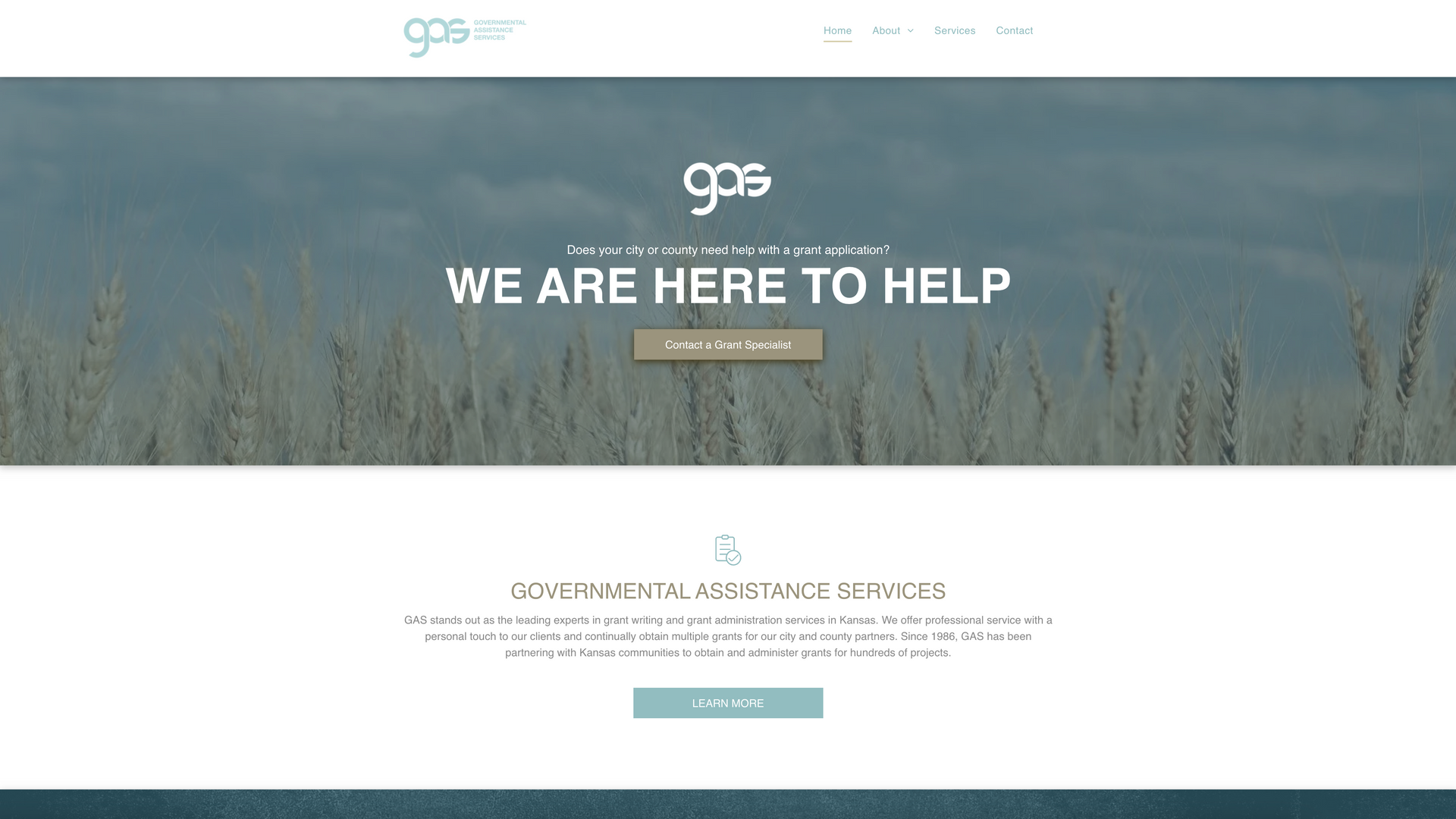 Professional advertisement for Government Assistance Services.