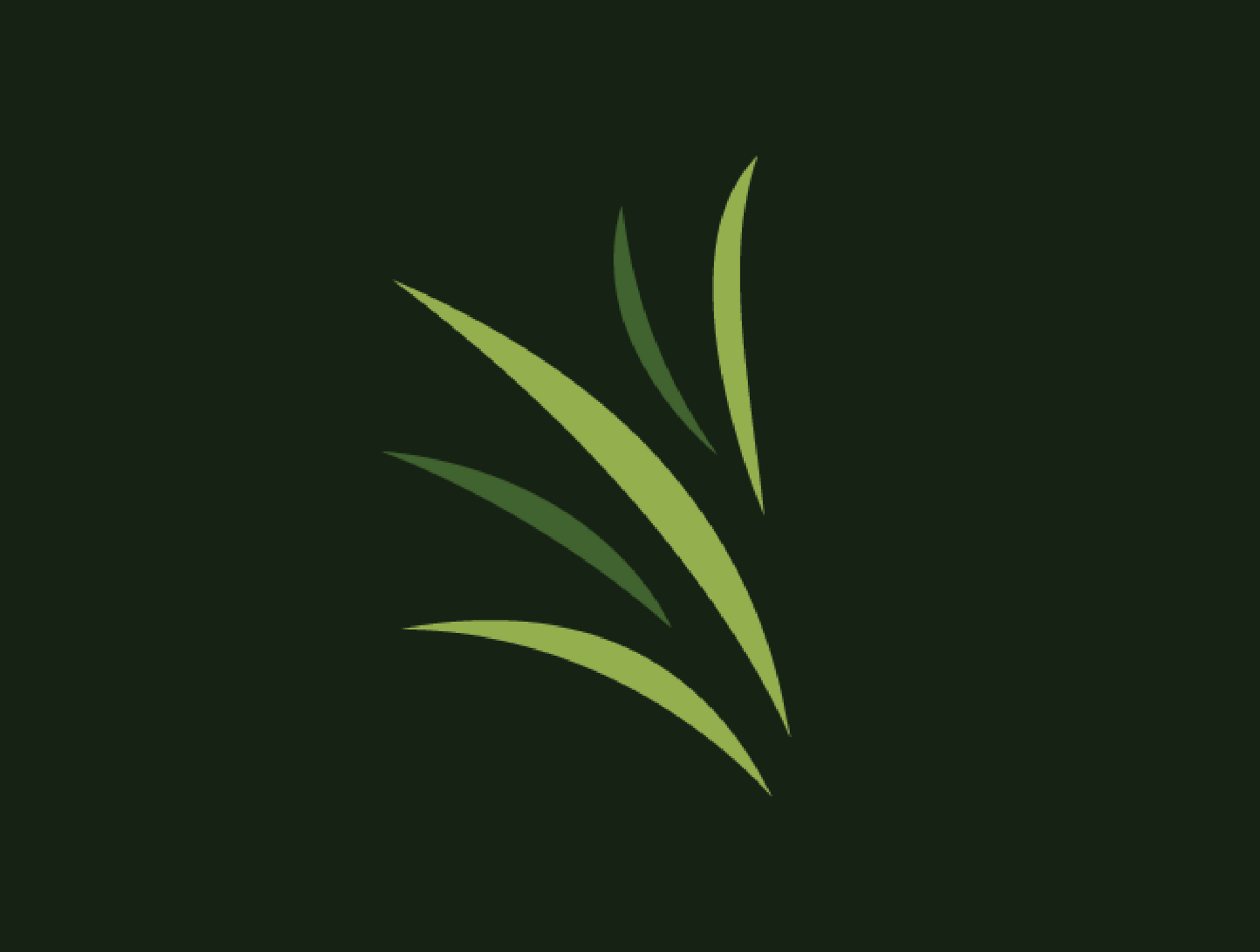 Black background with light green whisps of grass.