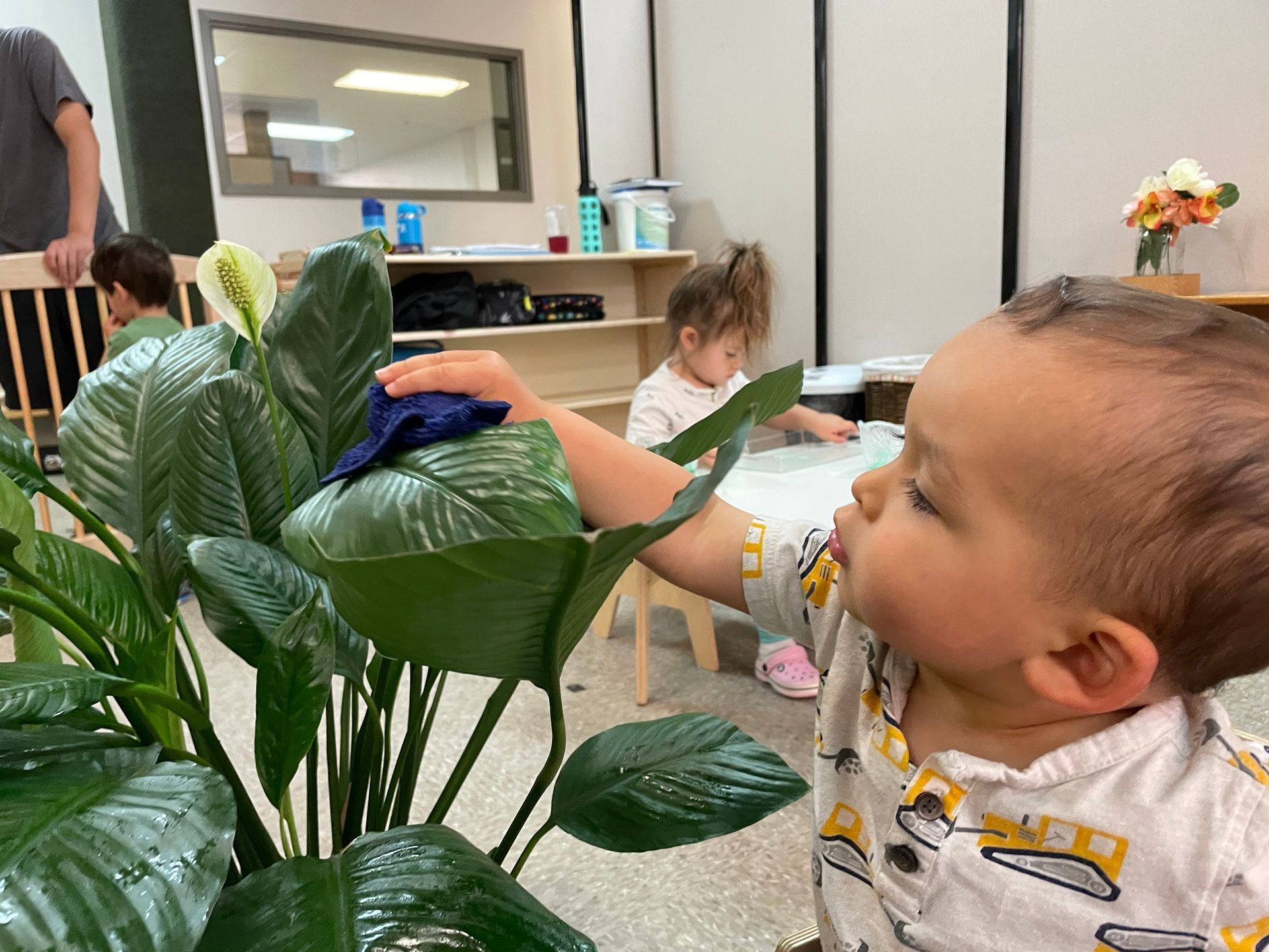 Toddler classroom - child dusting plant