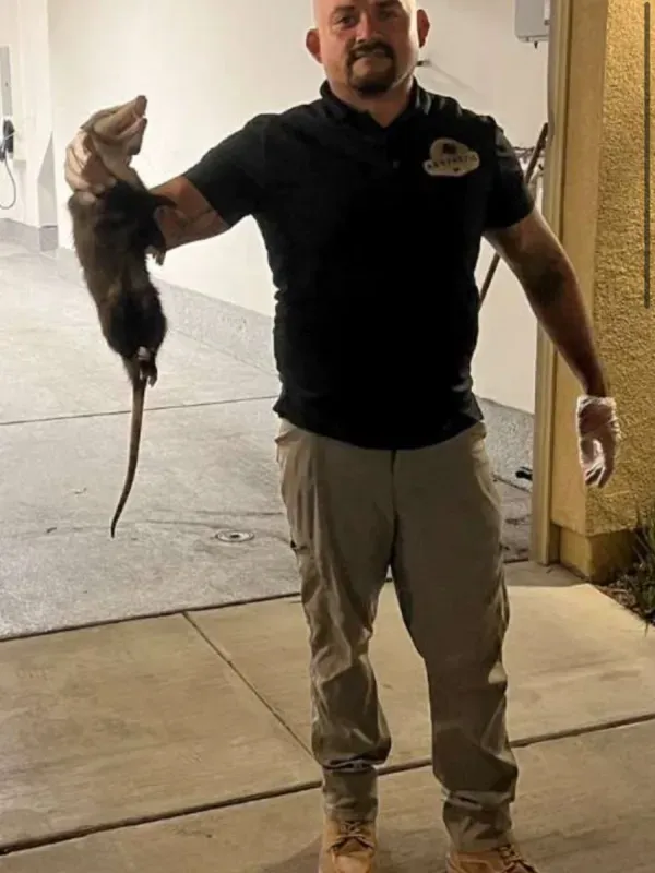 A professional in a black polo shirt and khaki pants holds a captured opossum by the tail in an outdoor garage setting.