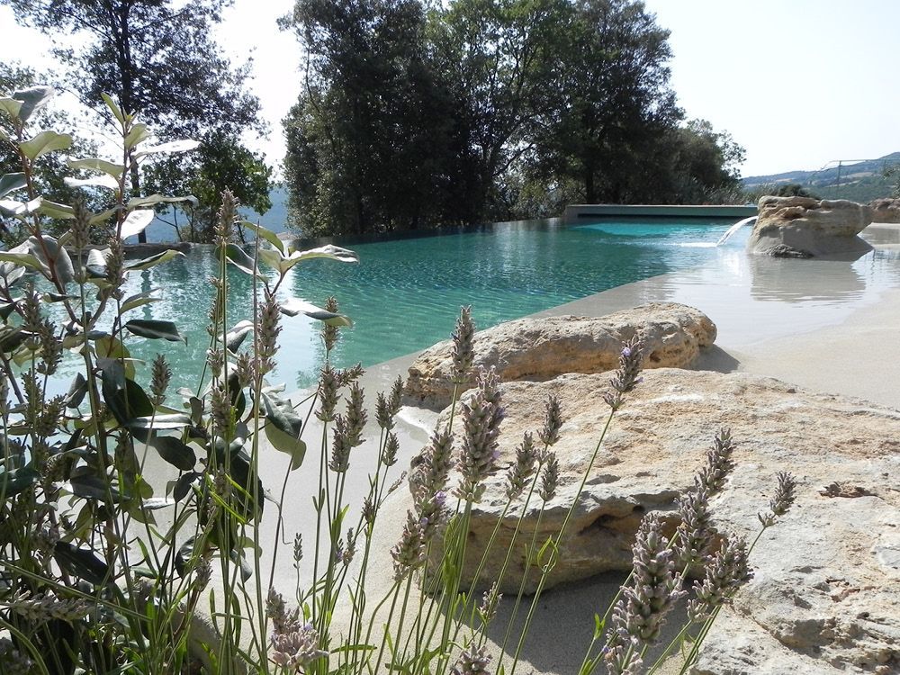 Piscina con acqua turchese, bordo roccioso, circondata dal verde e dagli alberi.