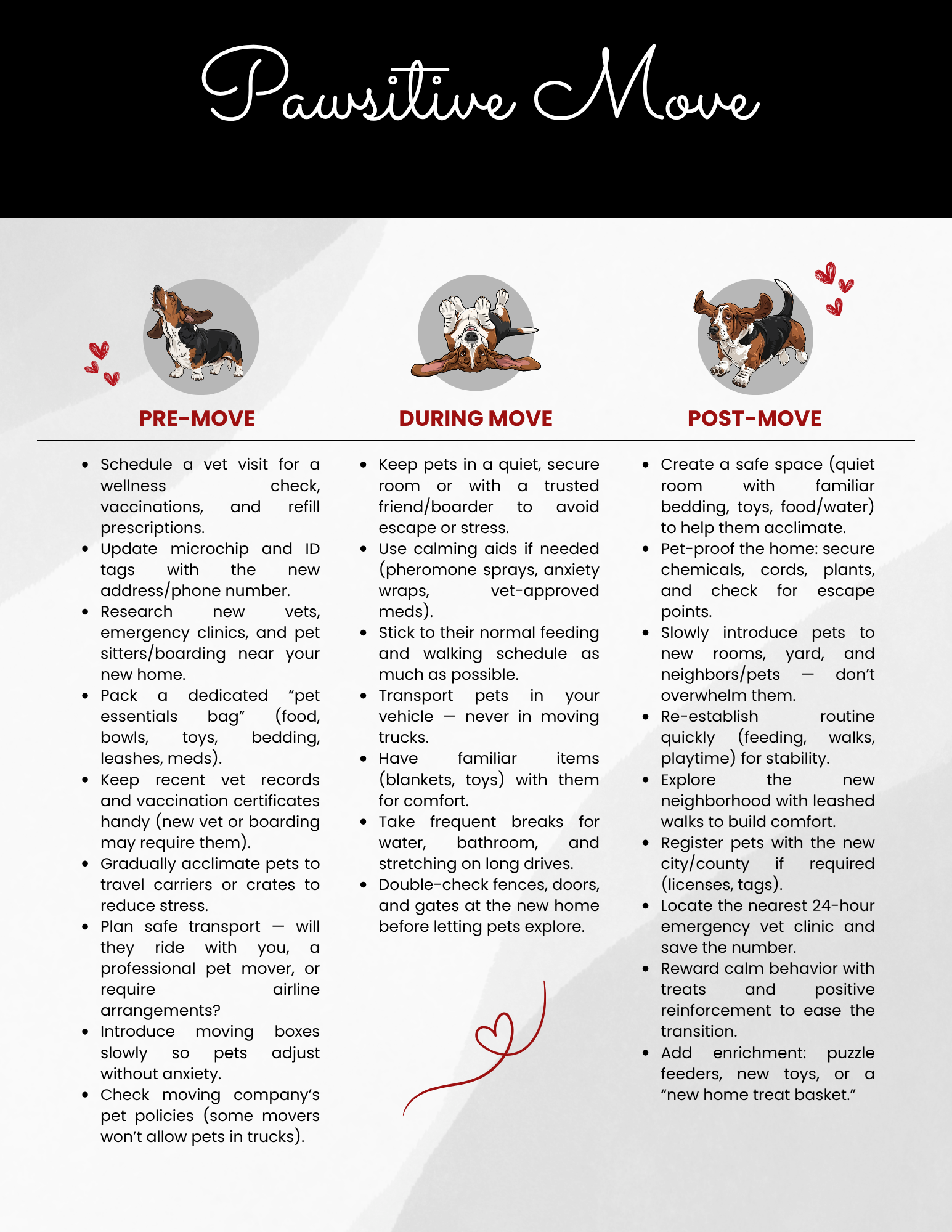 Poster titled “Pawsitive Moves” with three dog fitness columns in black, white, and red.