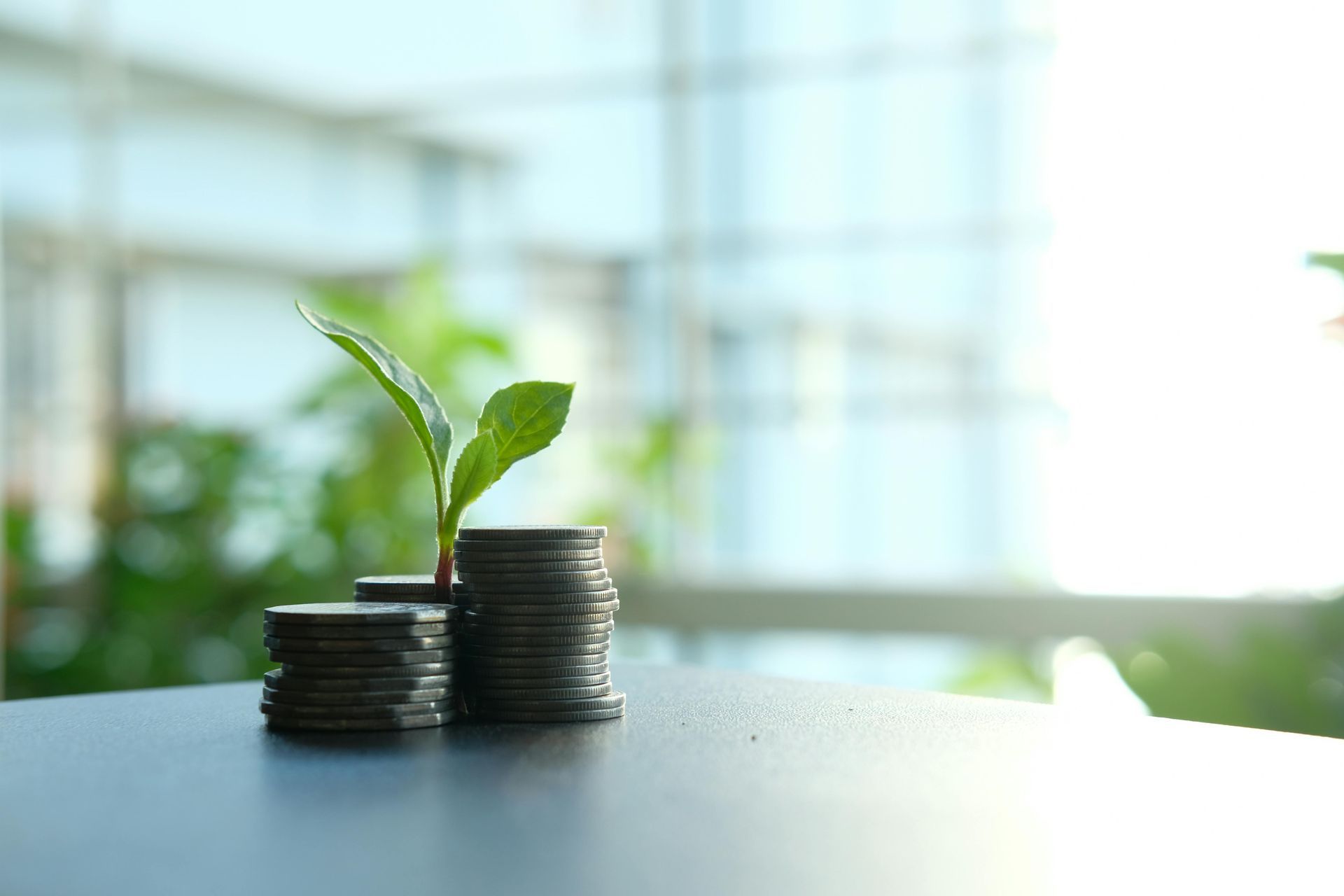 Two stacks of coins with a small green plant growing from them on a desk near a bright window