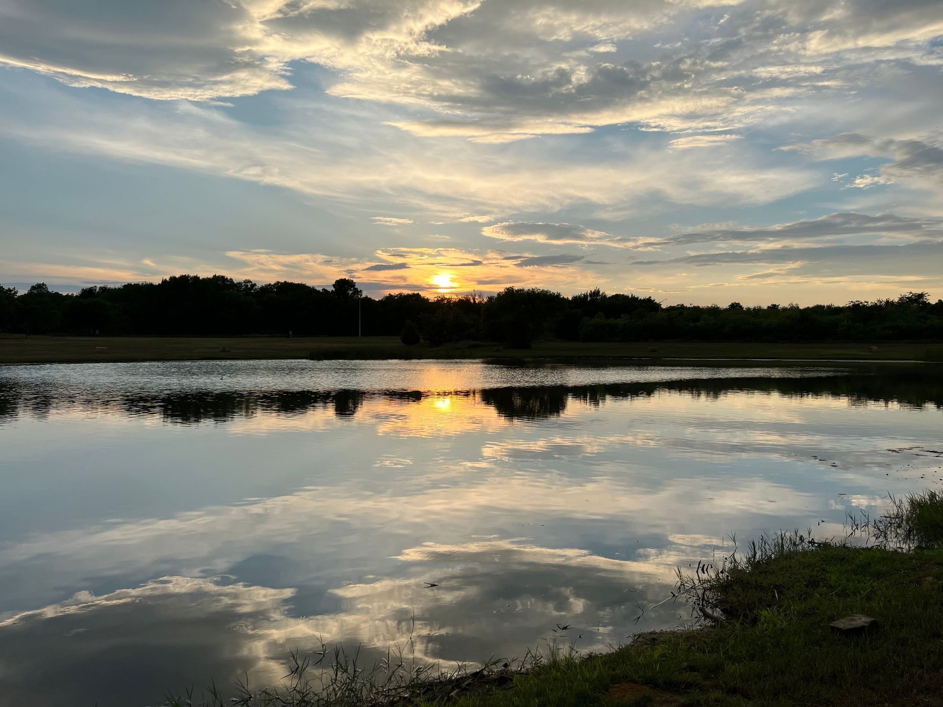Lake shoreline at sunset with nearby trees