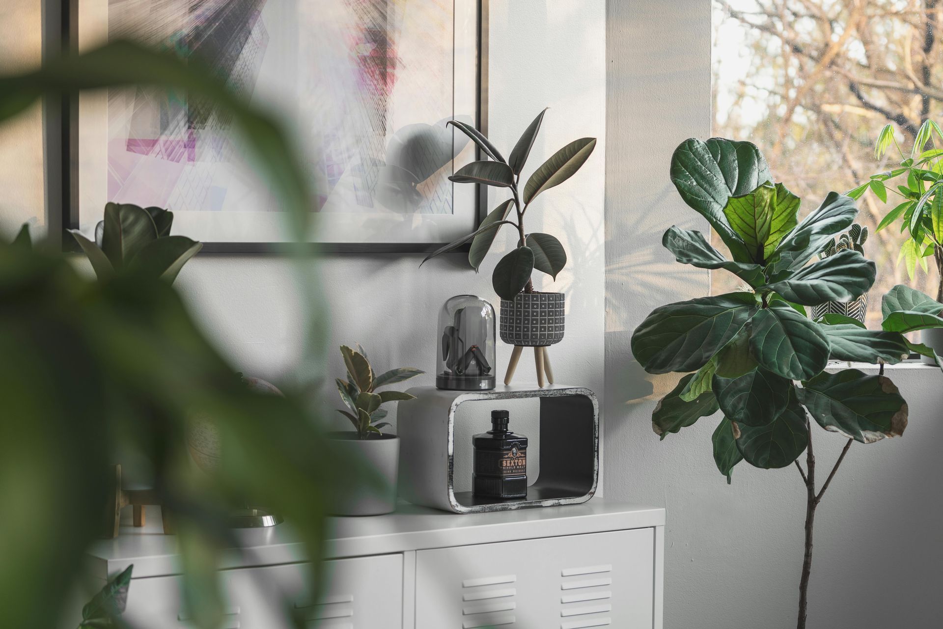 Indoor room with potted plants on a cabinet and a white wall backdrop