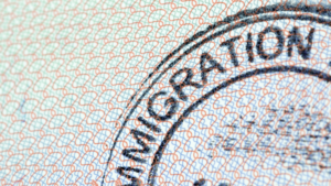 How a Franklin Immigration Lawyer Helps Workers Protect Their Legal Status