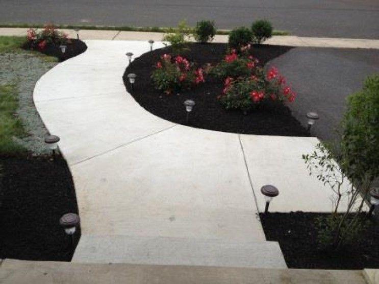 A concrete walkway surrounded by flowers and shrubs