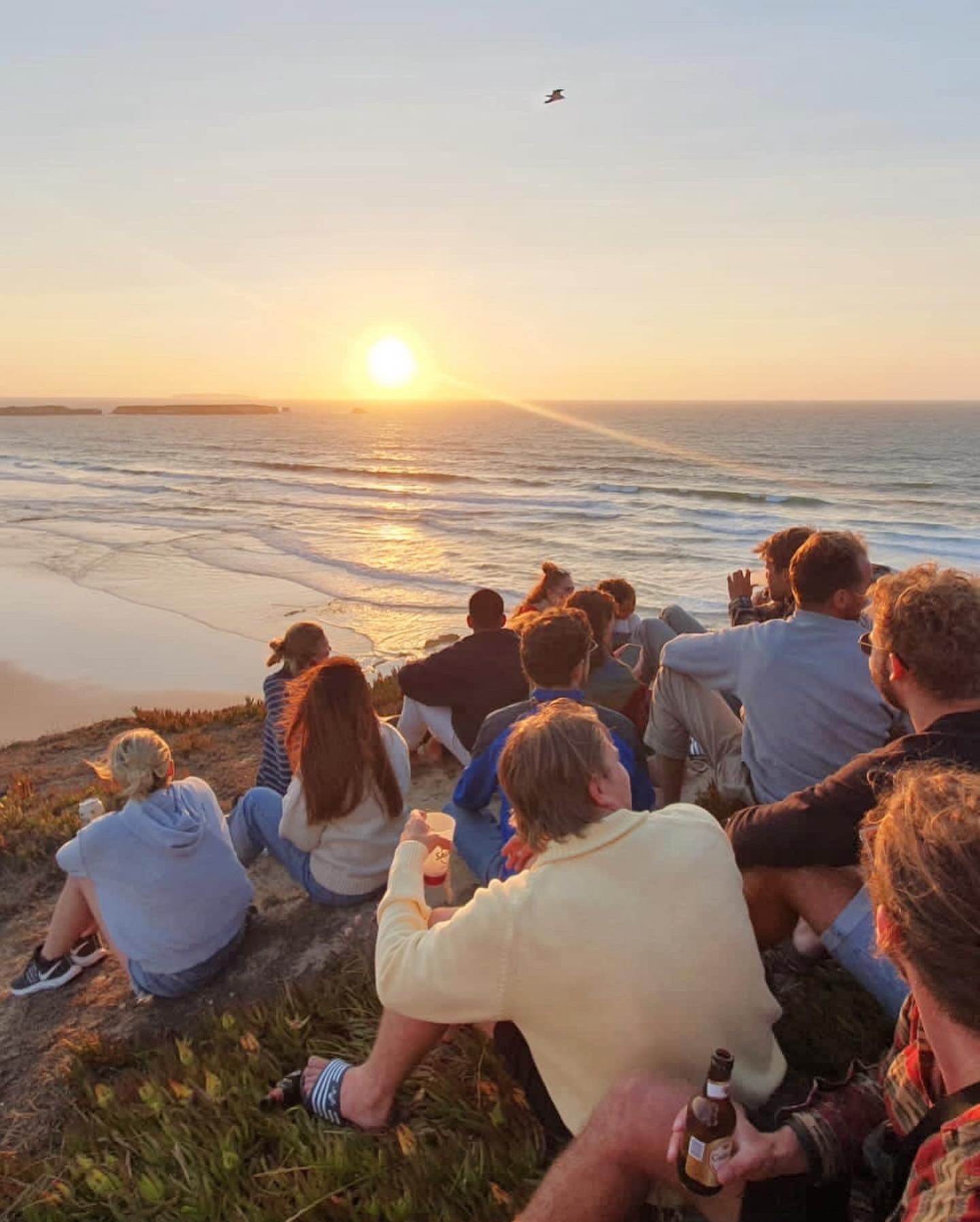 A group of people are sitting on top of a hill watching the sunset over the ocean.