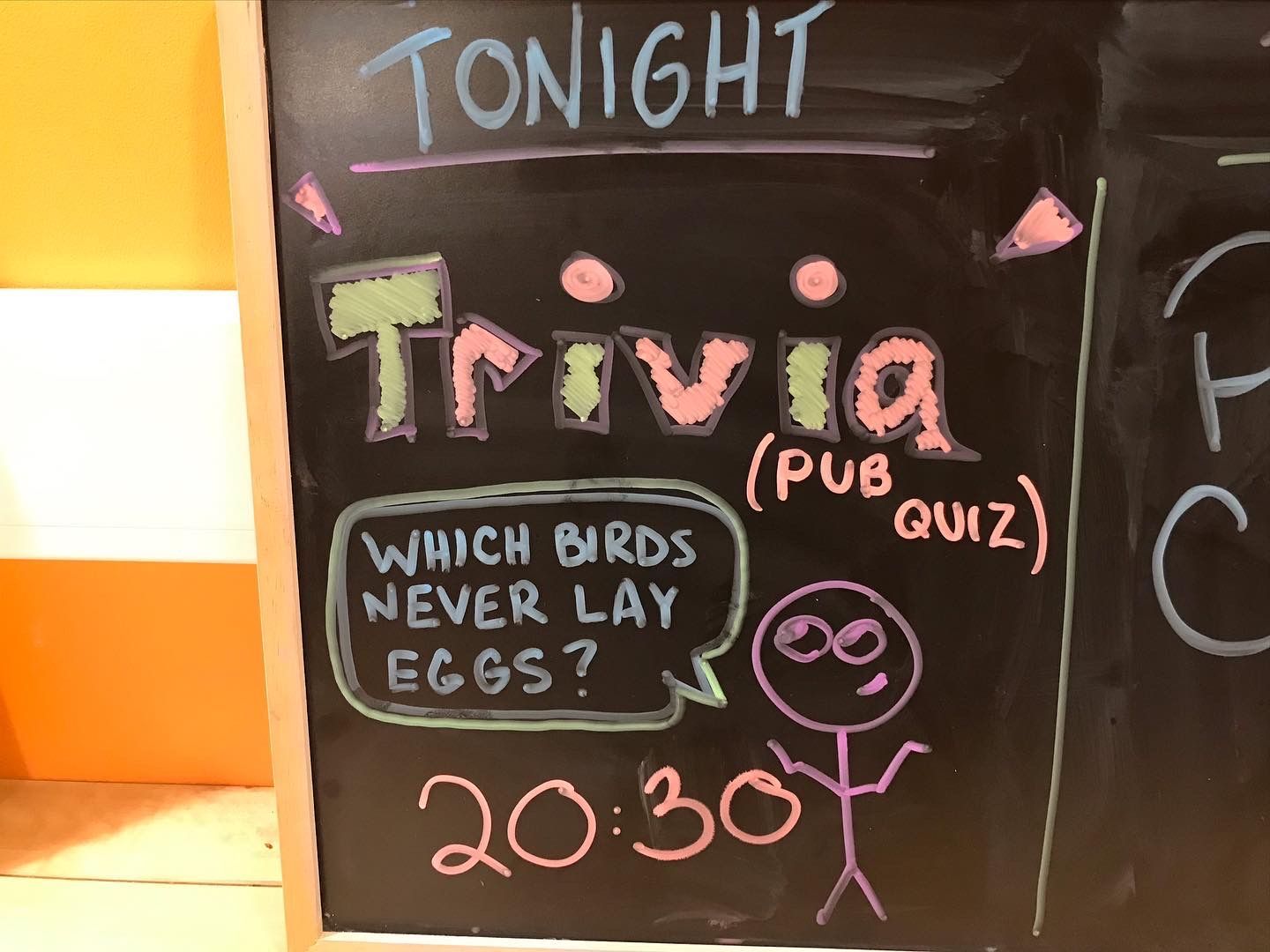 A chalkboard that says tonight trivia which birds never lay eggs