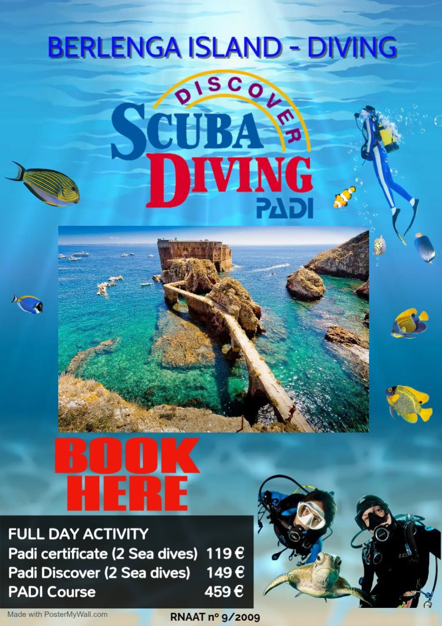 Best scuba diving in berlenga island peniche