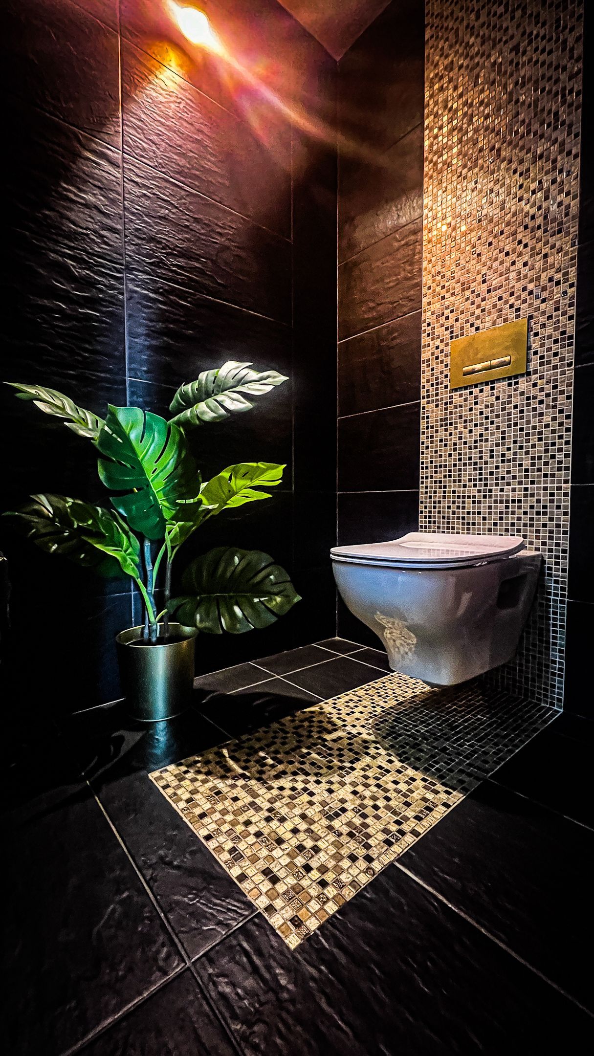 A bathroom with a toilet and a potted plant.