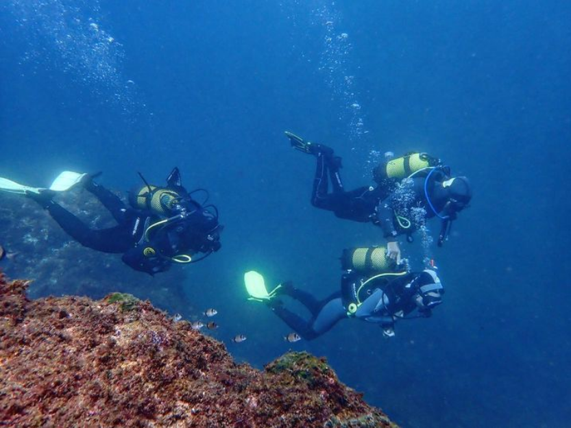 Best scuba diving in berlenga island peniche
