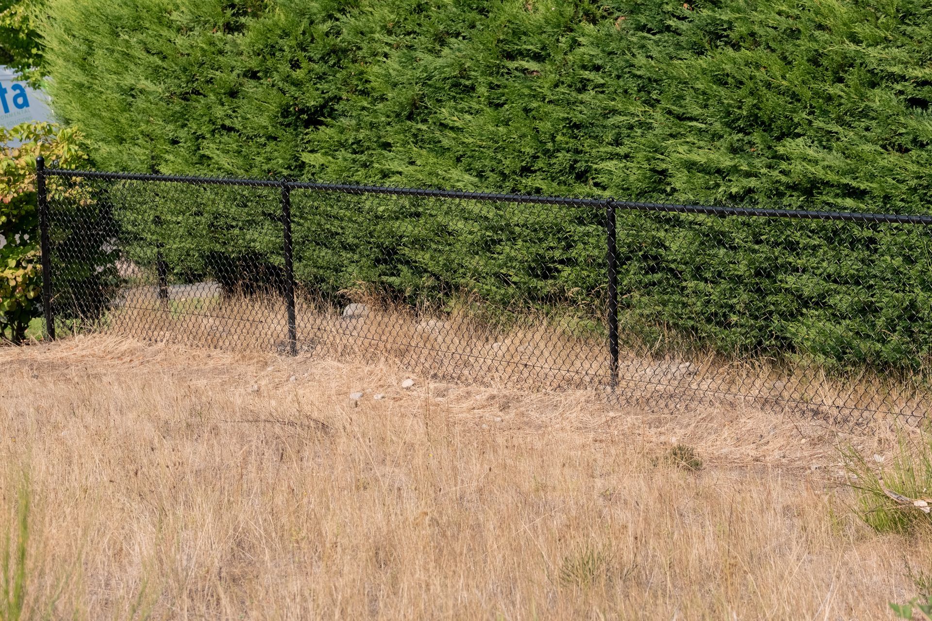 Black Chain Link Fencing