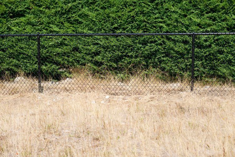 Chain Link Fences Installation Issaquah WA
