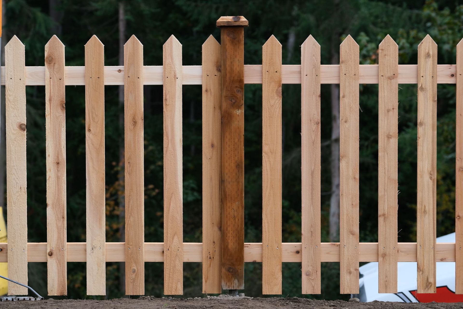 A wooden fence is surrounded by trees in a yard.