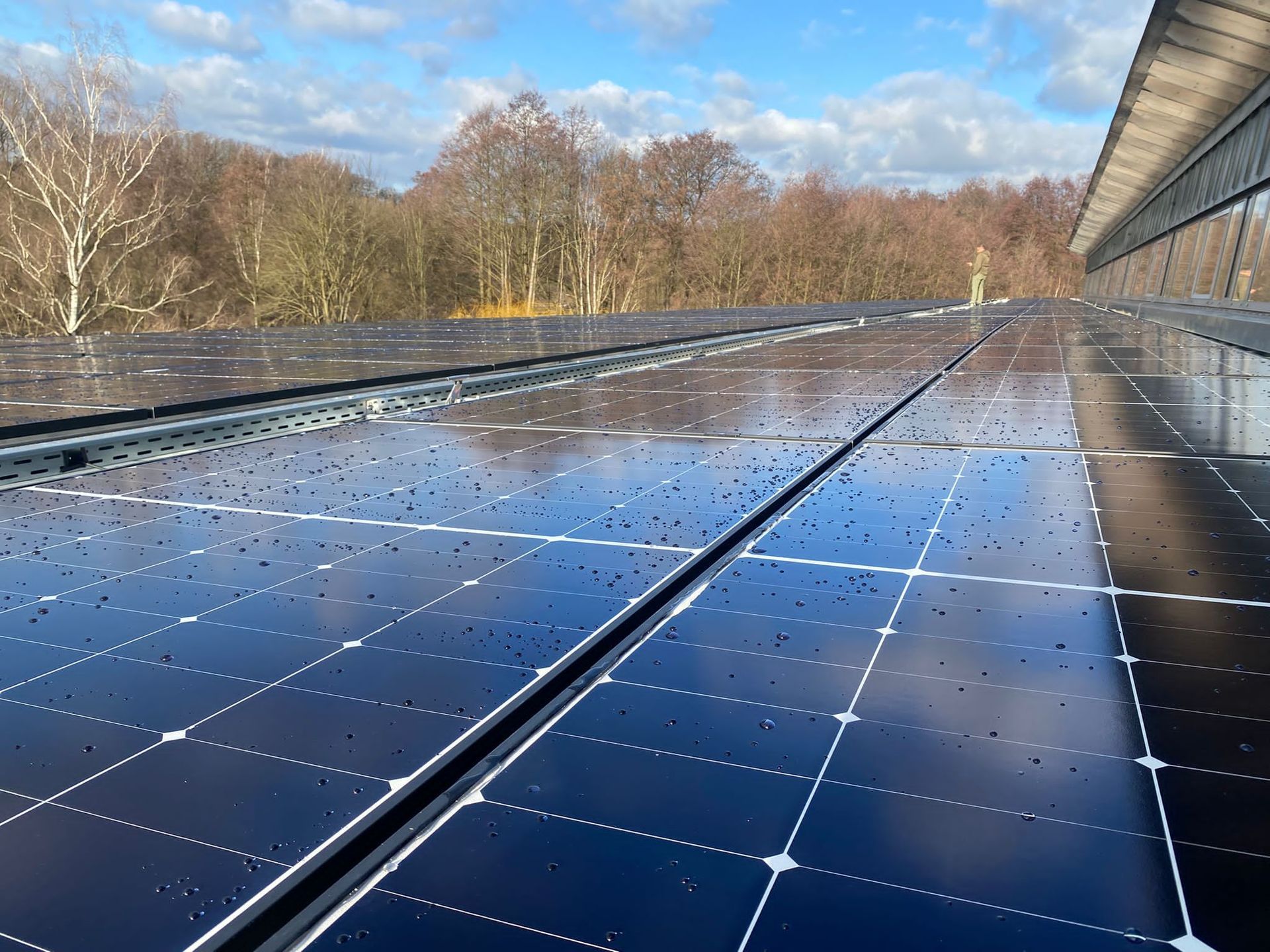 Reflective solar panels on a rooftop under a blue sky, with bare trees in the background