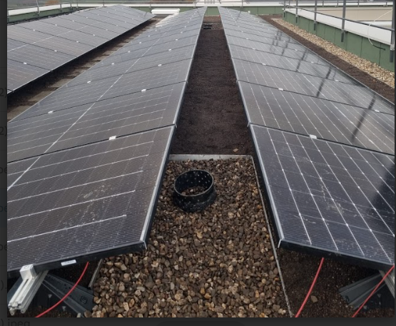 Solar panels in rows with a gravel gap and a black pipe or vent in the center