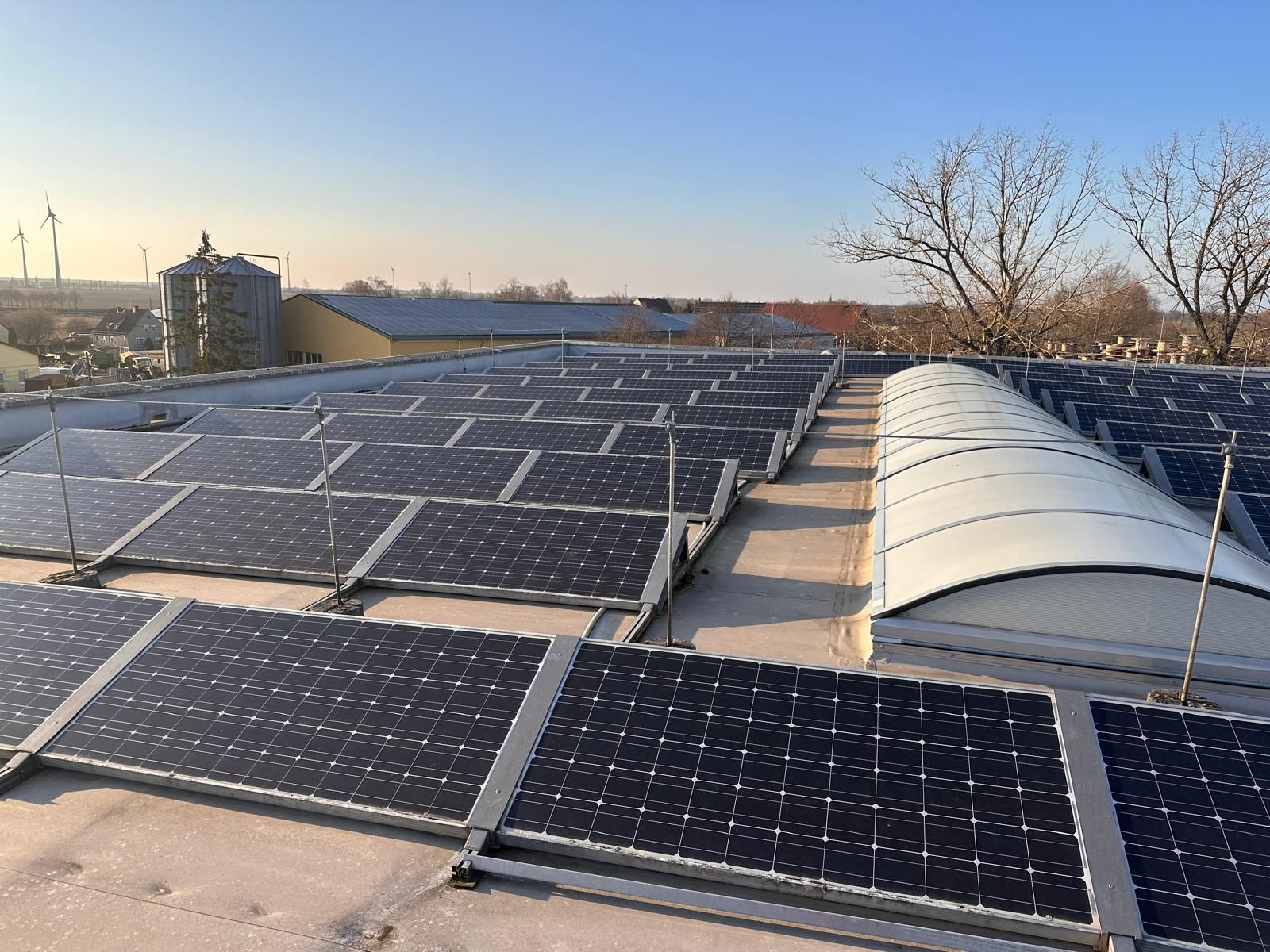 Solar panels covering a rooftop at sunset, with a white curved skylight and bare trees nearby.